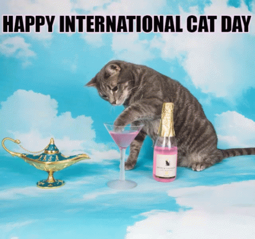 A Cat Is Sitting Next To A Bottle Of Champagne And A Martini Glass With The Words Happy International Cat Day Above It GIF