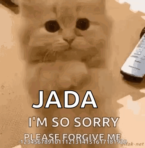 A Cat Is Sitting Next To A Remote Control And Saying Jada I 'M So Sorry . GIF