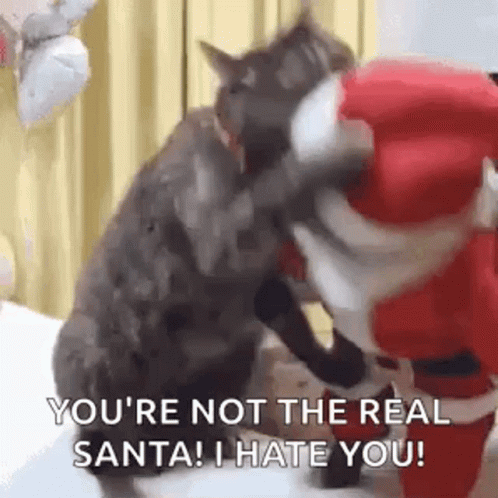 A Cat Is Sitting Next To A Stuffed Animal Dressed As Santa Claus And A Dog . GIF