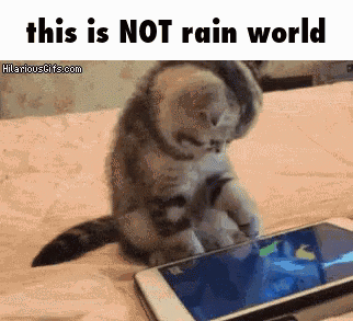 A Cat Is Sitting On A Bed Looking At A Cell Phone With The Words This Is Not Rain World Above It GIF