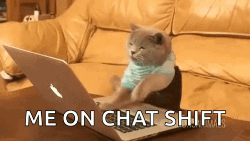 A Cat Is Sitting On A Couch Using A Laptop Computer With The Words Me On Chat Shift Above It . GIF
