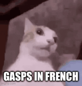A Cat Is Sitting On A Couch With The Words Gasps In French . GIF