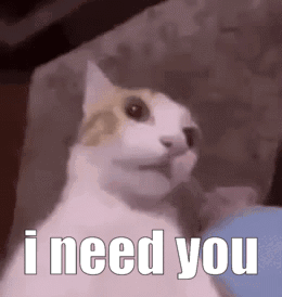 A Cat Is Sitting On A Couch With The Words `` I Need You '' Written Next To It . GIF