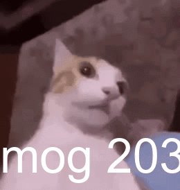 A Cat Is Sitting On A Couch With The Words Mog 203 Behind It GIF