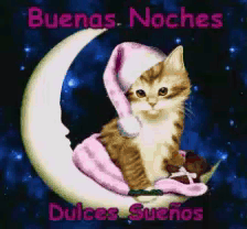 A Cat Is Sitting On A Crescent Moon With The Words Buenas Noches Dulces Suenos Written Below It GIF