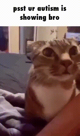 a cat is sitting on a person 's lap and the caption says psst ur autism is showing bro .