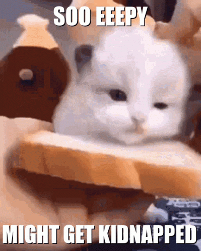 A Cat Is Sitting On A Piece Of Bread With The Words Soo Eepy Might Get Kidnapped Below It GIF
