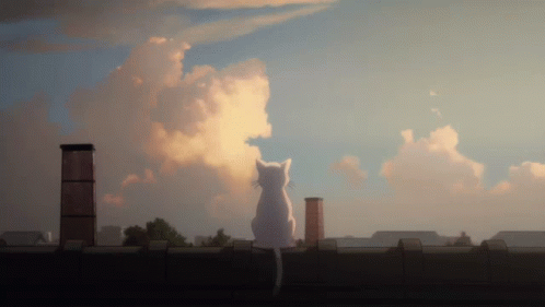 A Cat Is Sitting On A Roof Looking At The Sky GIF
