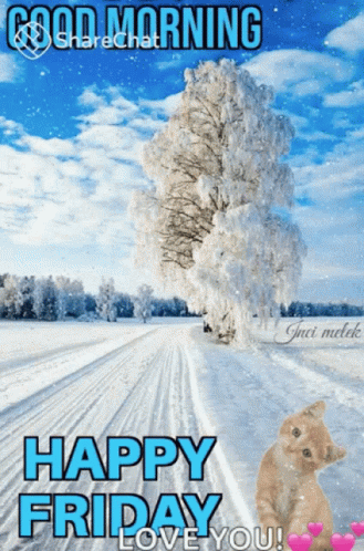 A Cat Is Sitting On A Snowy Road With The Words Happy Friday Love You GIF
