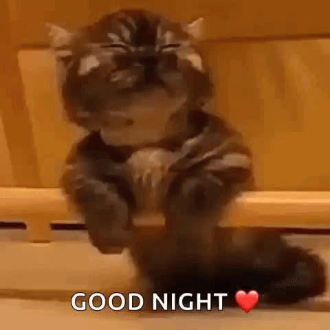 A Cat Is Sitting On A Wooden Shelf With Its Eyes Closed And A Heart In Front Of It . GIF