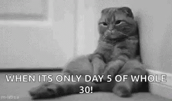 A Cat Is Sitting On The Floor Next To A Wall With The Words `` When It 'S Only Day 5 Of Whole 30 ! '' GIF