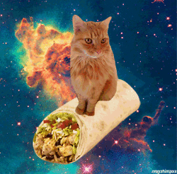 A Cat Is Sitting On Top Of A Burrito In Outer Space GIF