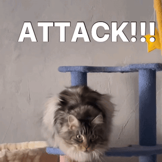 A Cat Is Sitting On Top Of A Cat Tree With The Words Attack Written Above It GIF