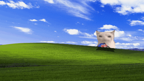 A Cat Is Sitting On Top Of A Green Hill GIF
