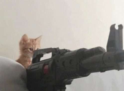 A Cat Is Sitting On Top Of A Toy Gun . GIF