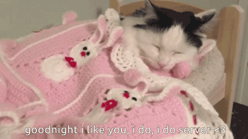 A Cat Is Sleeping In A Bed With A Pink Blanket And The Words Goodnight I Like You I Do I Do Server GIF