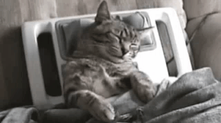 A Cat Is Sleeping On A Couch Next To A Massage Machine . GIF