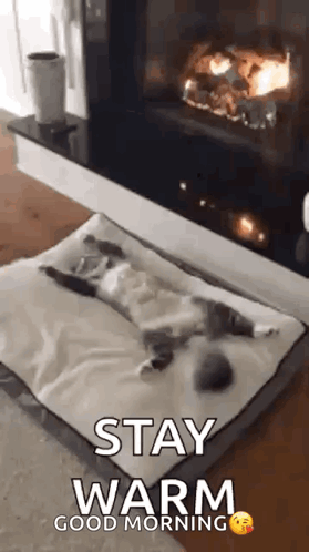A Cat Is Sleeping On A Dog Bed In Front Of A Fireplace . GIF