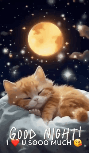 A Cat Is Sleeping On A Pillow In Front Of A Full Moon And Stars . GIF