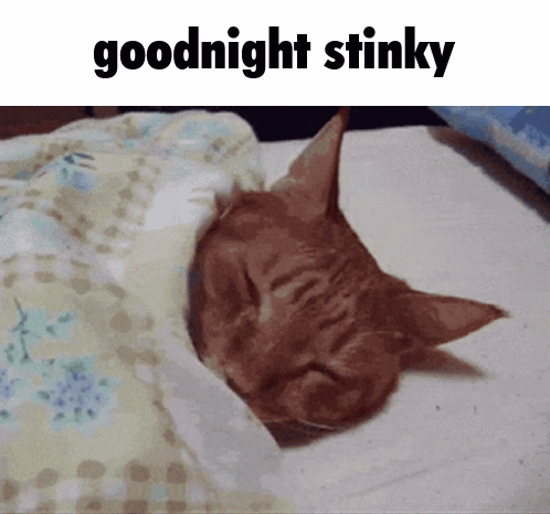 A Cat Is Sleeping Under A Blanket With The Words Goodnight Stinky Below It GIF