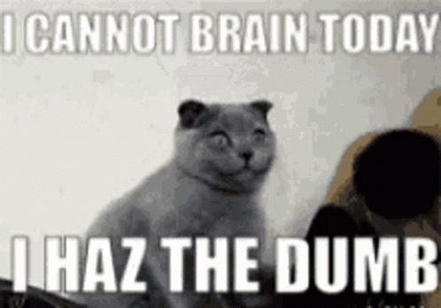 A Cat Is Smiling With The Words I Cannot Brain Today I Haz The Dumb Behind It . GIF