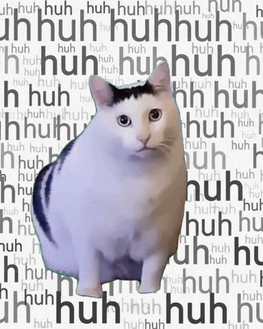 A Cat Is Standing In Front Of A Background That Says ' Huh ' On It GIF