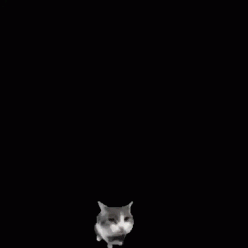 A Cat Is Standing In Front Of A Brick Wall With Three Holes In It . GIF