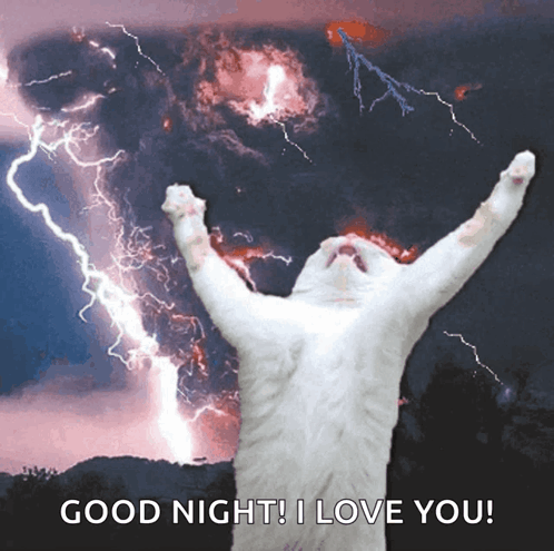 A Cat Is Standing In Front Of A Lightning Storm With The Words Good Night I Love You GIF