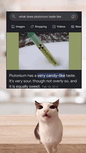 A Cat Is Standing In Front Of A Picture Of Plutonium Candy GIF