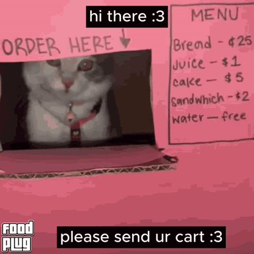 A Cat Is Standing In Front Of A Pink Sign That Says " Order Here " GIF