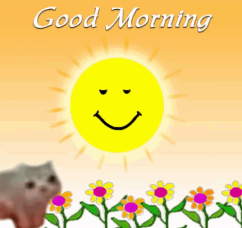 A Cat Is Standing In Front Of A Smiling Sun And The Words Good Morning GIF