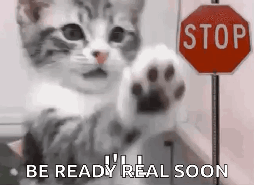 A Cat Is Standing In Front Of A Stop Sign With Its Paw Up . GIF