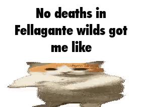 A Cat Is Standing In Front Of A White Background And Says `` No Deaths In Fellagante Wilds Got Me Like '' . GIF
