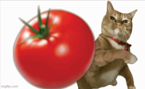 A Cat Is Standing Next To A Large Tomato With A Green Stem GIF