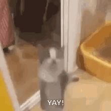 A Cat Is Standing Next To A Yellow Litter Box In A Bathroom . GIF