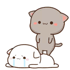 a cat is standing on another cat 's back with chinese writing on it .