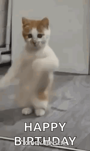 A Cat Is Standing On Its Hind Legs And Dancing With The Words `` Happy Birthday '' . GIF