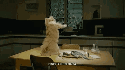 A Cat Is Standing On Its Hind Legs In Front Of A Table With The Words Happy Birthday Written Above It GIF
