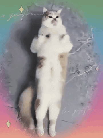 A Cat Is Standing On Its Hind Legs With A Rainbow Background GIF