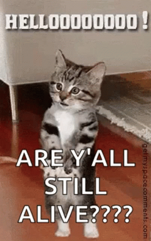 A Cat Is Standing On Its Hind Legs With The Words `` Are Y 'All Still Alive '' Written Above It . GIF