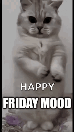 A Cat Is Standing On Its Hind Legs With The Words `` Happy Friday Mood '' . GIF