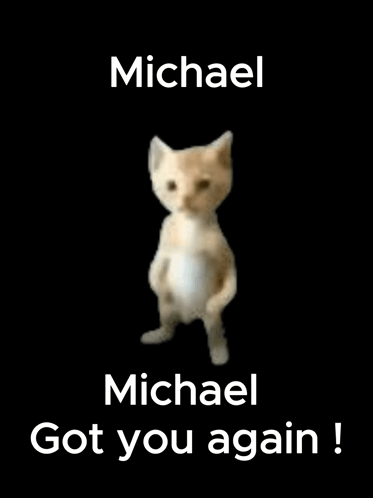 A Cat Is Standing On Its Hind Legs With The Words `` Michael Got You Again '' Written On It . GIF