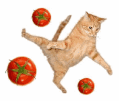A Cat Is Standing On Its Hind Legs With Tomatoes Around It GIF