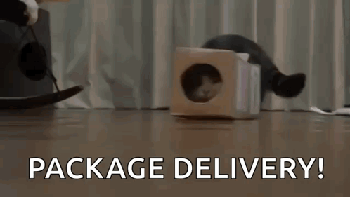 A Cat Is Sticking Its Head Out Of A Cardboard Box With The Words Package Delivery Written Below It GIF