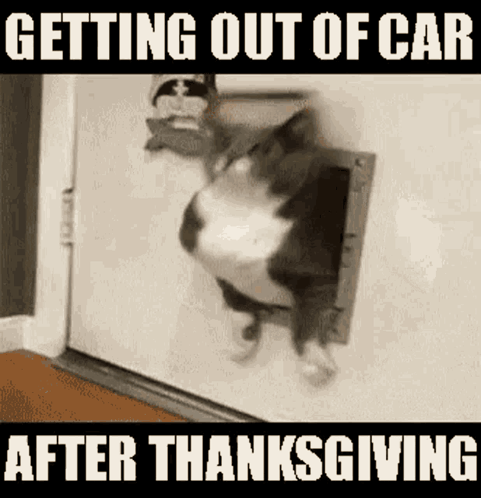 A Cat Is Sticking Its Head Through A Cat Door . GIF