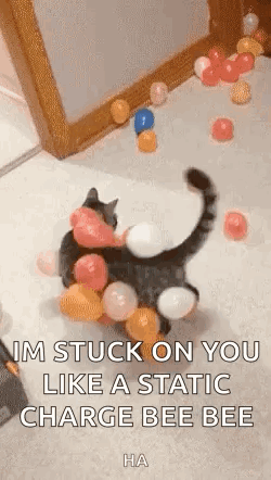 A Cat Is Stuck On A Pile Of Balloons On The Floor With A Caption . GIF
