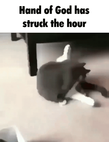 A Cat Is Stuck Under A Table With The Words Hand Of God Has Struck The Hour GIF