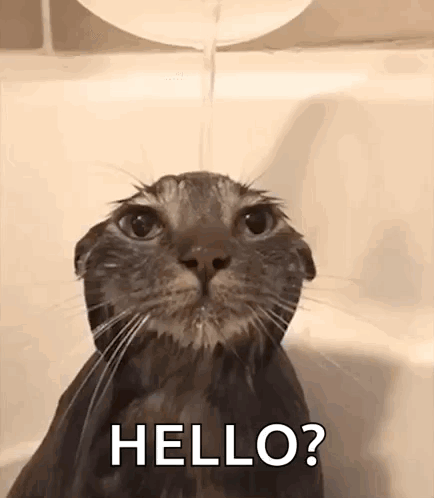 A Cat Is Taking A Bath In A Bathtub While Water Is Pouring Out Of A Faucet . GIF
