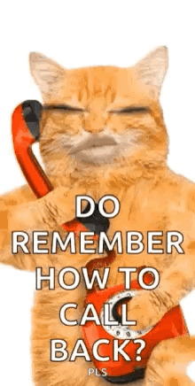 a cat is talking on a red telephone .