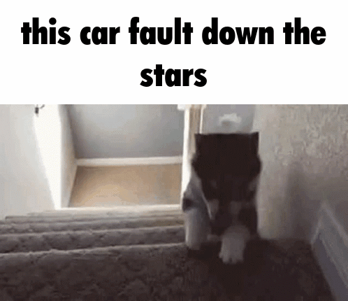 A Cat Is Walking Down A Set Of Stairs . GIF